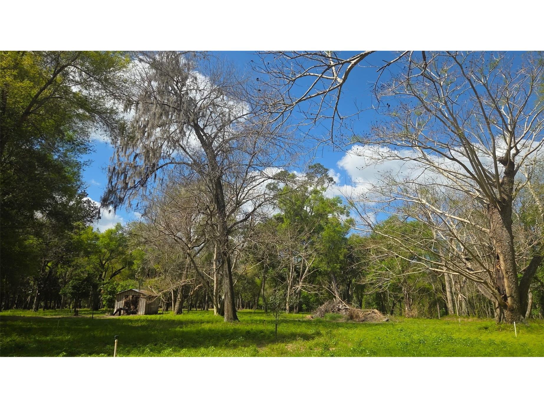 2140 St Johns River Road Astor FL 32102 V4948899 image2