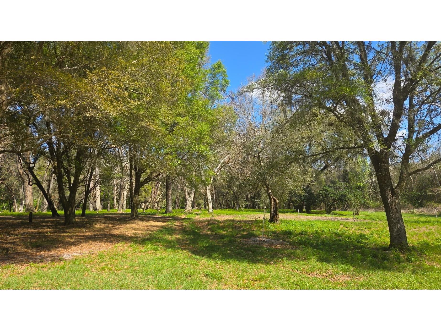 2140 St Johns River Road Astor FL 32102 V4948899 image7
