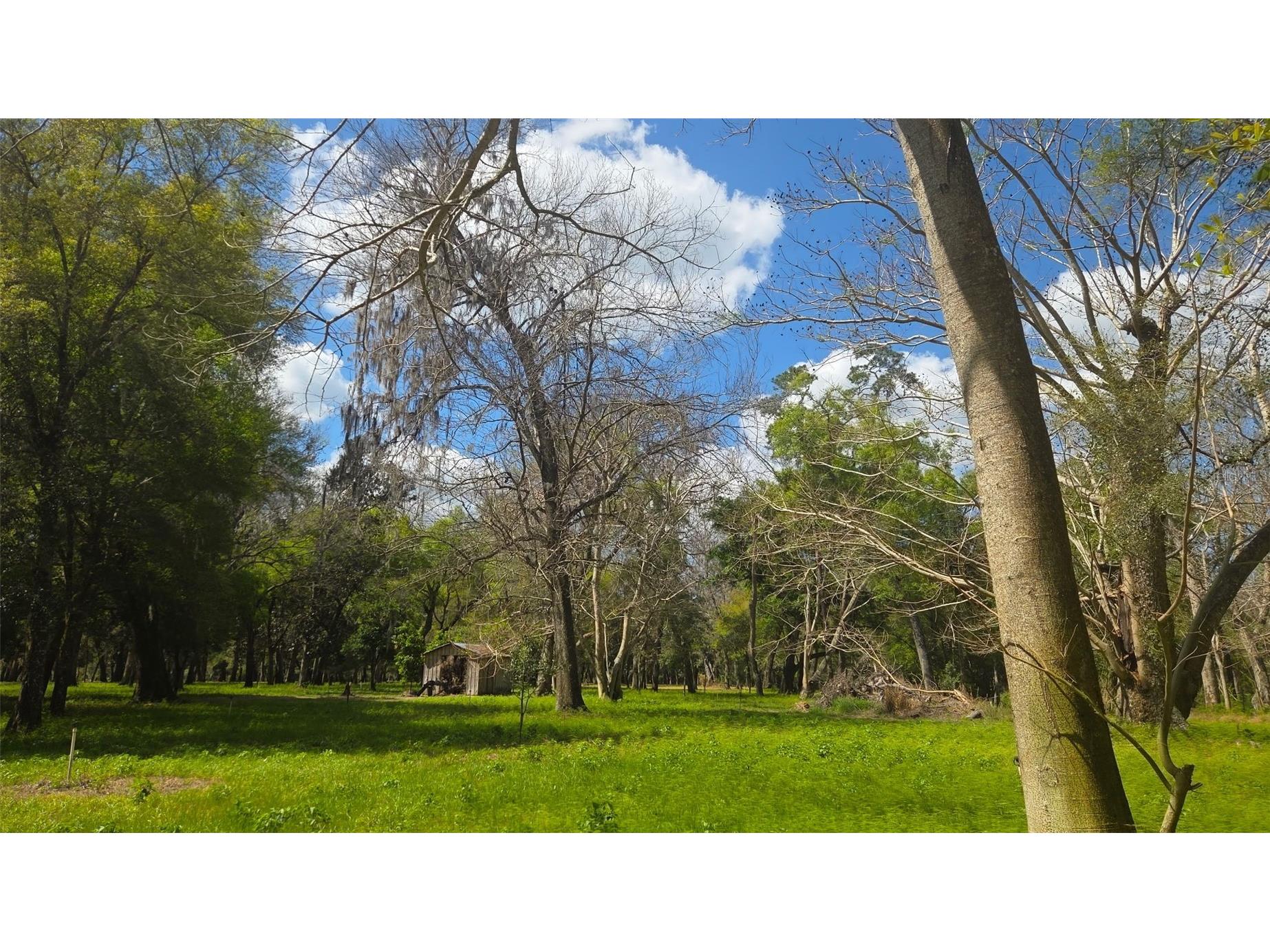 2140 St Johns River Road Astor FL 32102 V4948899 image8