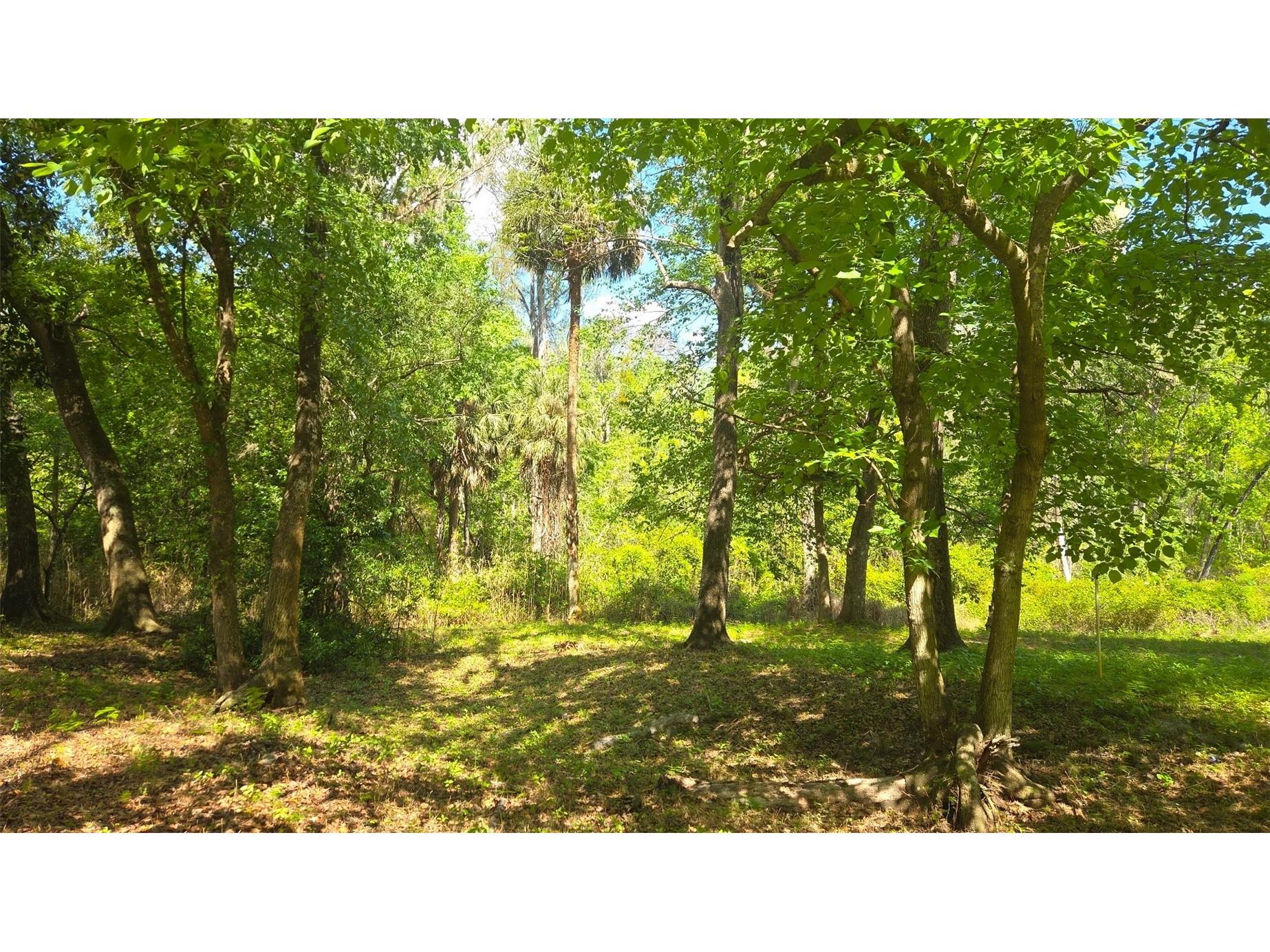 2140 St Johns River Road Astor FL 32102 V4948899 image9