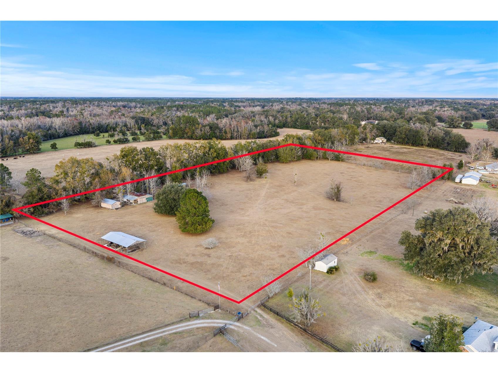 21405 Old Bellamy Road Alachua FL 32615 OM717856 image5