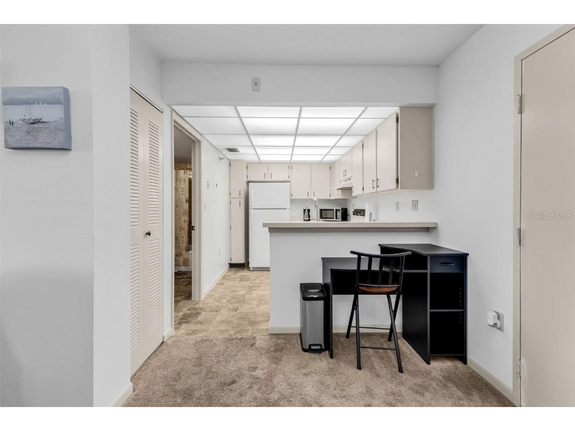 21405 Olean Boulevard #208 Port Charlotte FL 33952 C7518567 image29