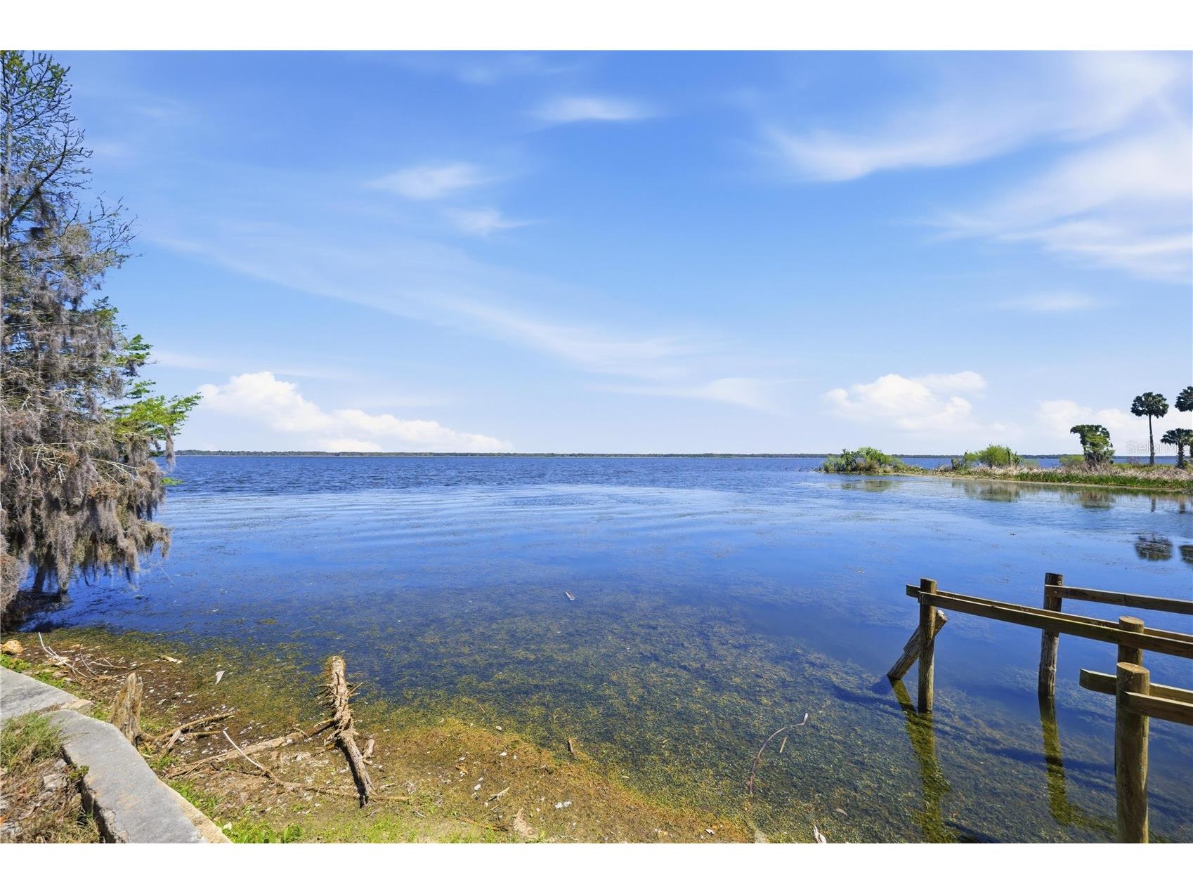 21407 NW 39th Court Micanopy FL 32667 - Orange Lake OM721615 image35