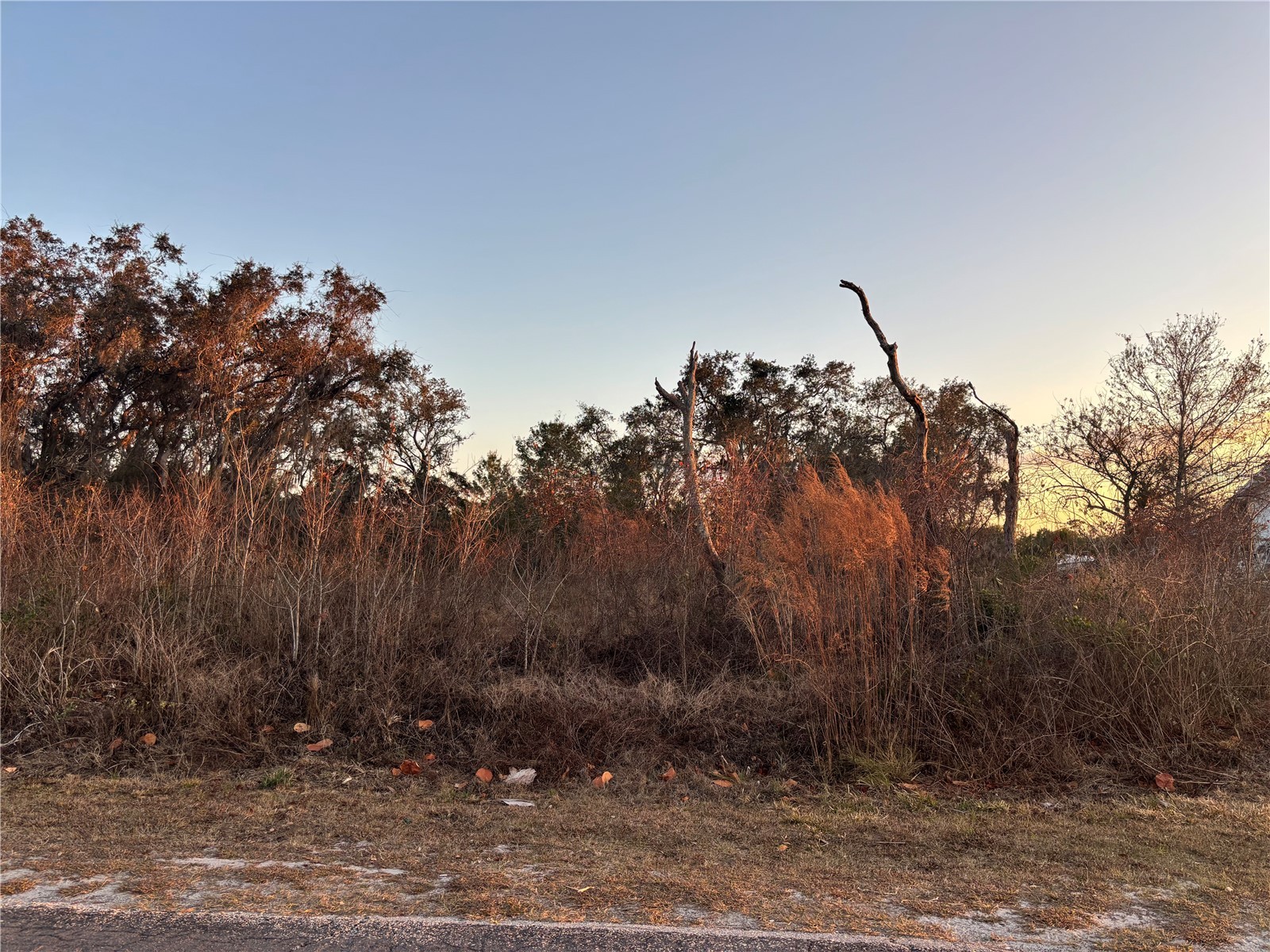 2141 Allamanda Drive Indian Lake Estates FL 33855 - LAKE WEOHYAKAPKA P4937809 image1