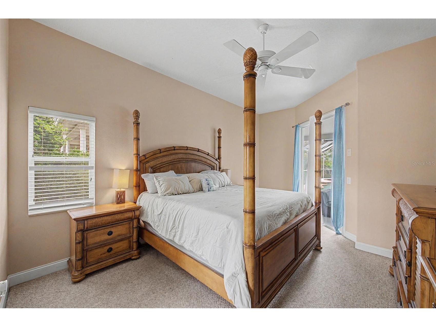 2141 Flameflower Court Trinity FL 34655 TB8528567 image21