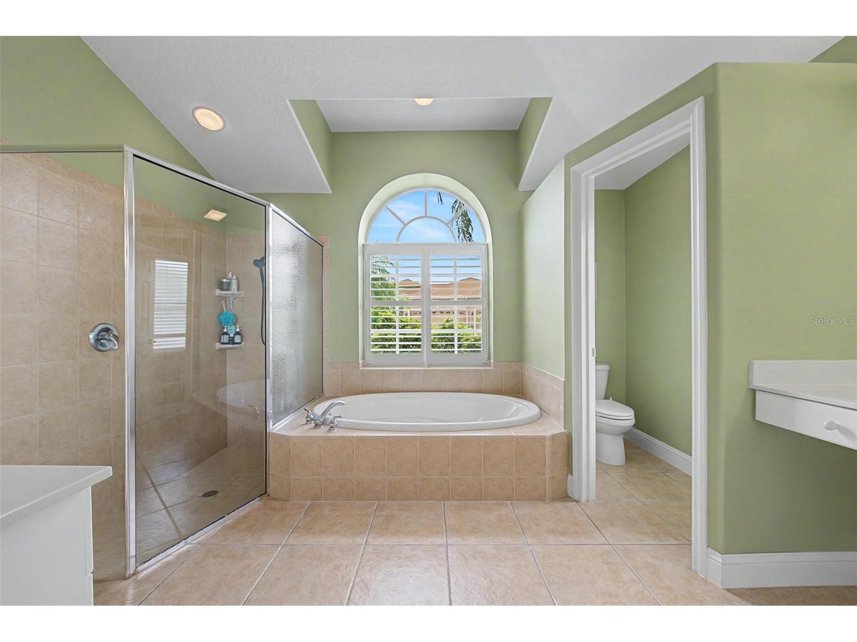 2141 Flameflower Court Trinity FL 34655 TB8528567 image22