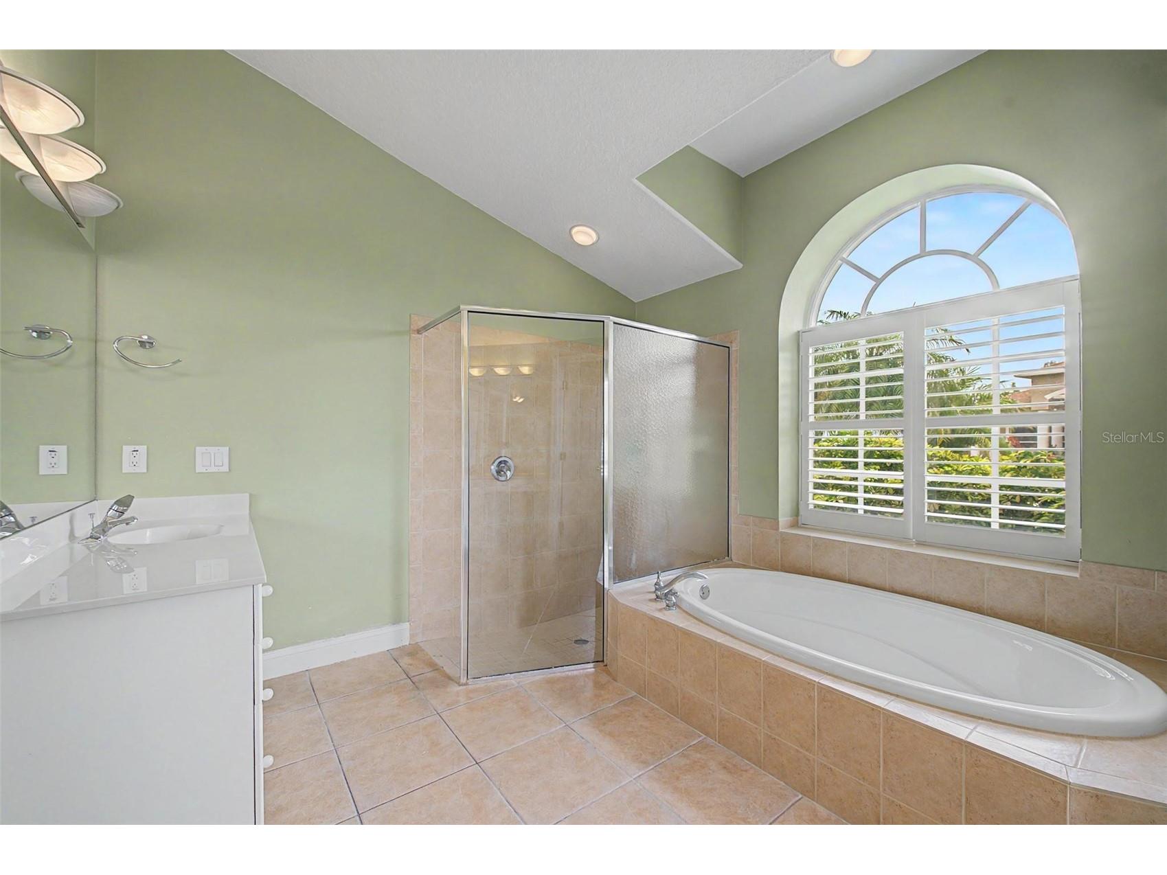 2141 Flameflower Court Trinity FL 34655 TB8528567 image23