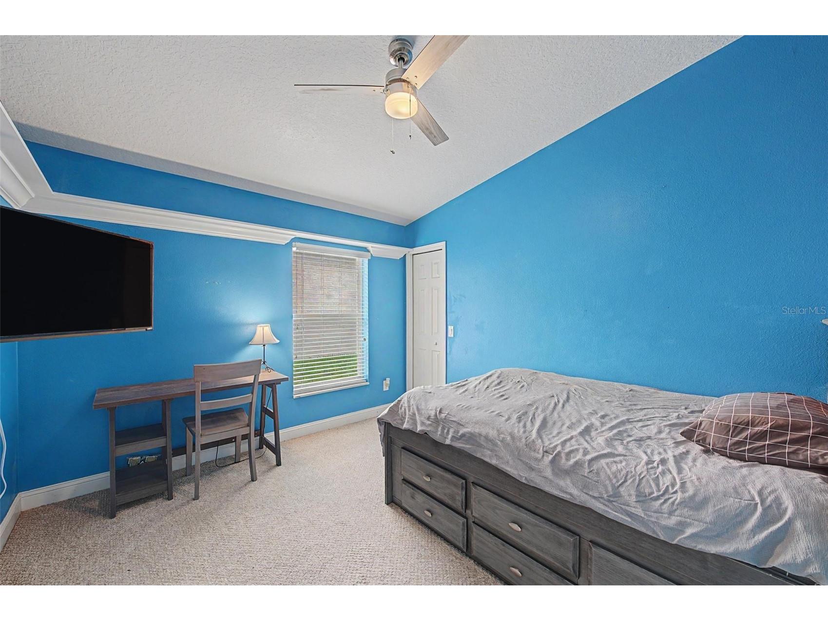 2141 Flameflower Court Trinity FL 34655 TB8528567 image27