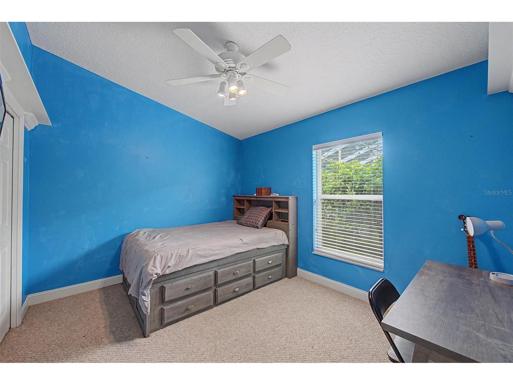 2141 Flameflower Court Trinity FL 34655 TB8528567 image28