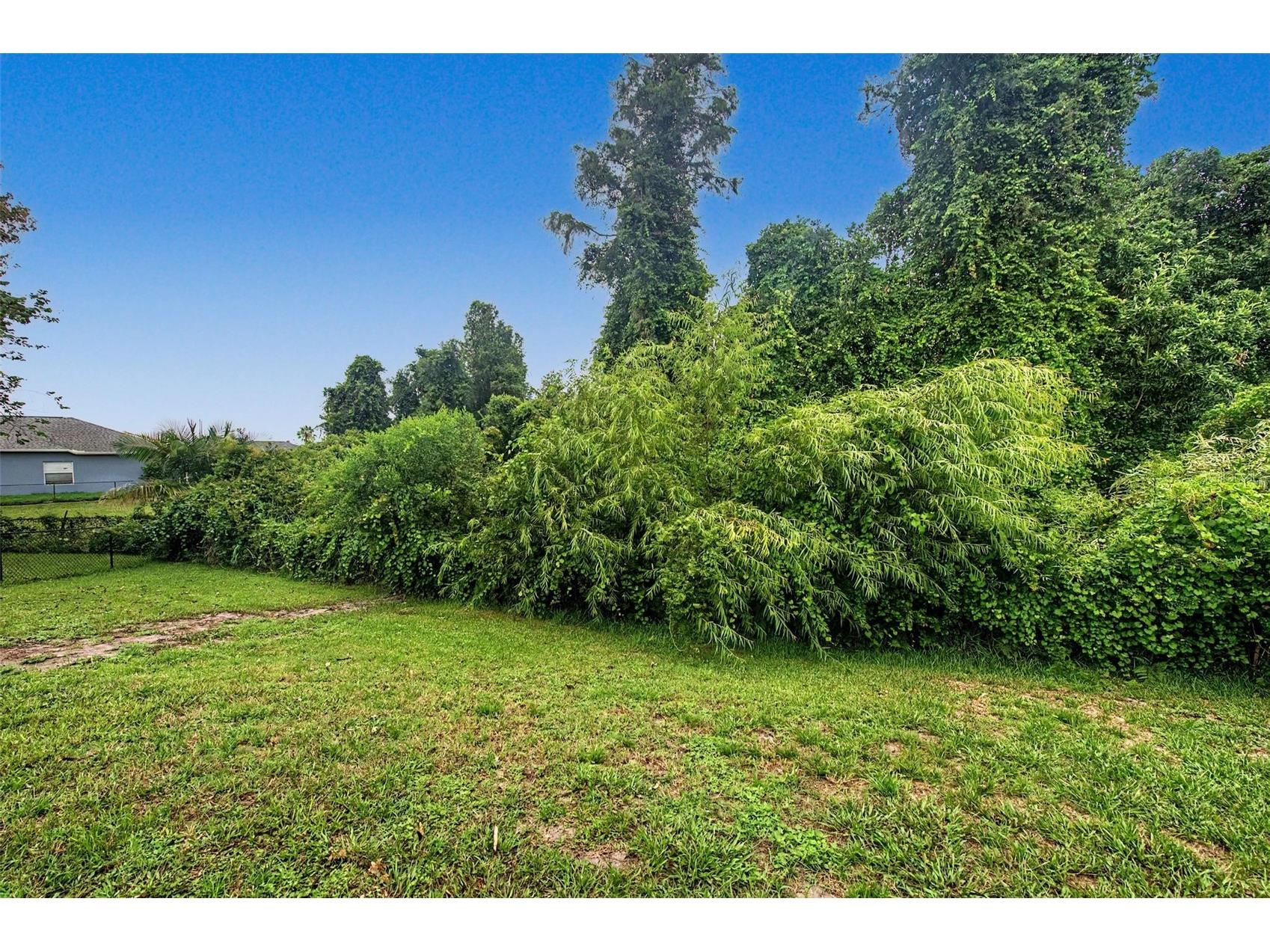 2141 Flameflower Court Trinity FL 34655 TB8528567 image34