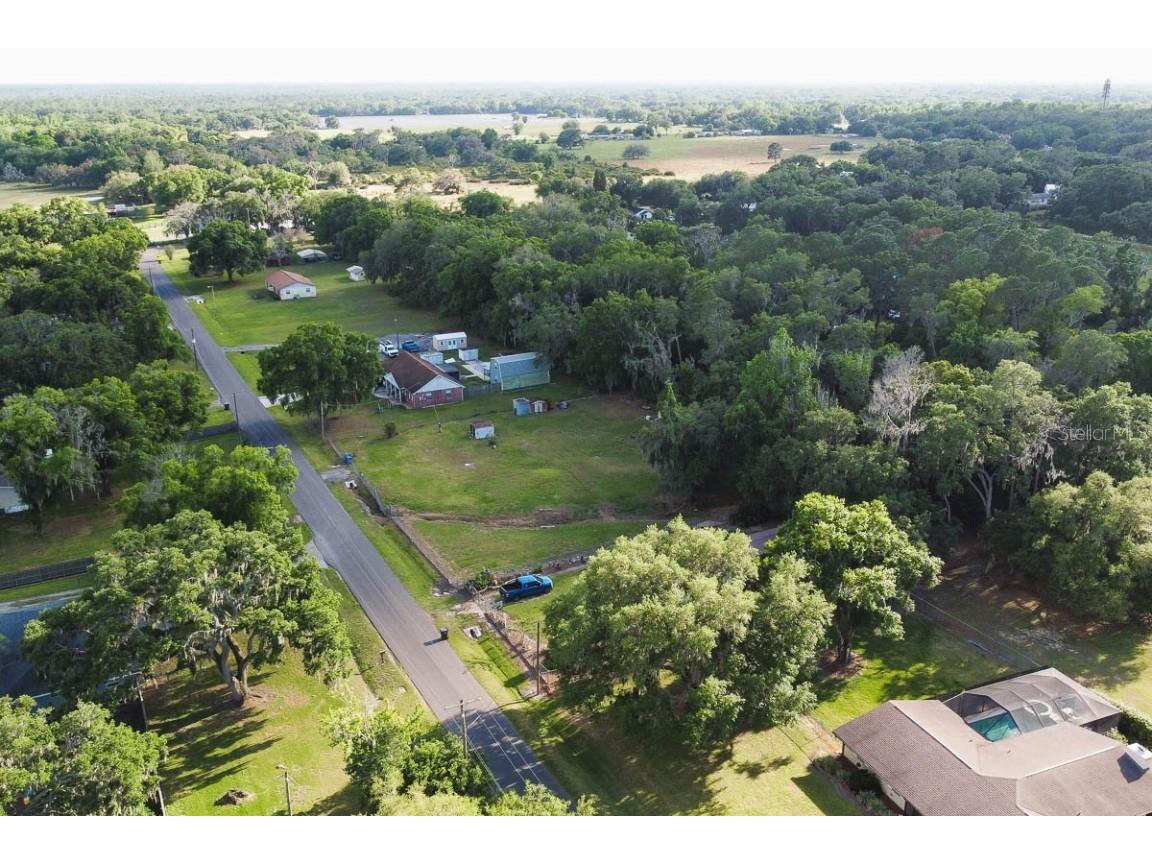 2141 Hinson Road Dover FL 33527 T3514974 image1