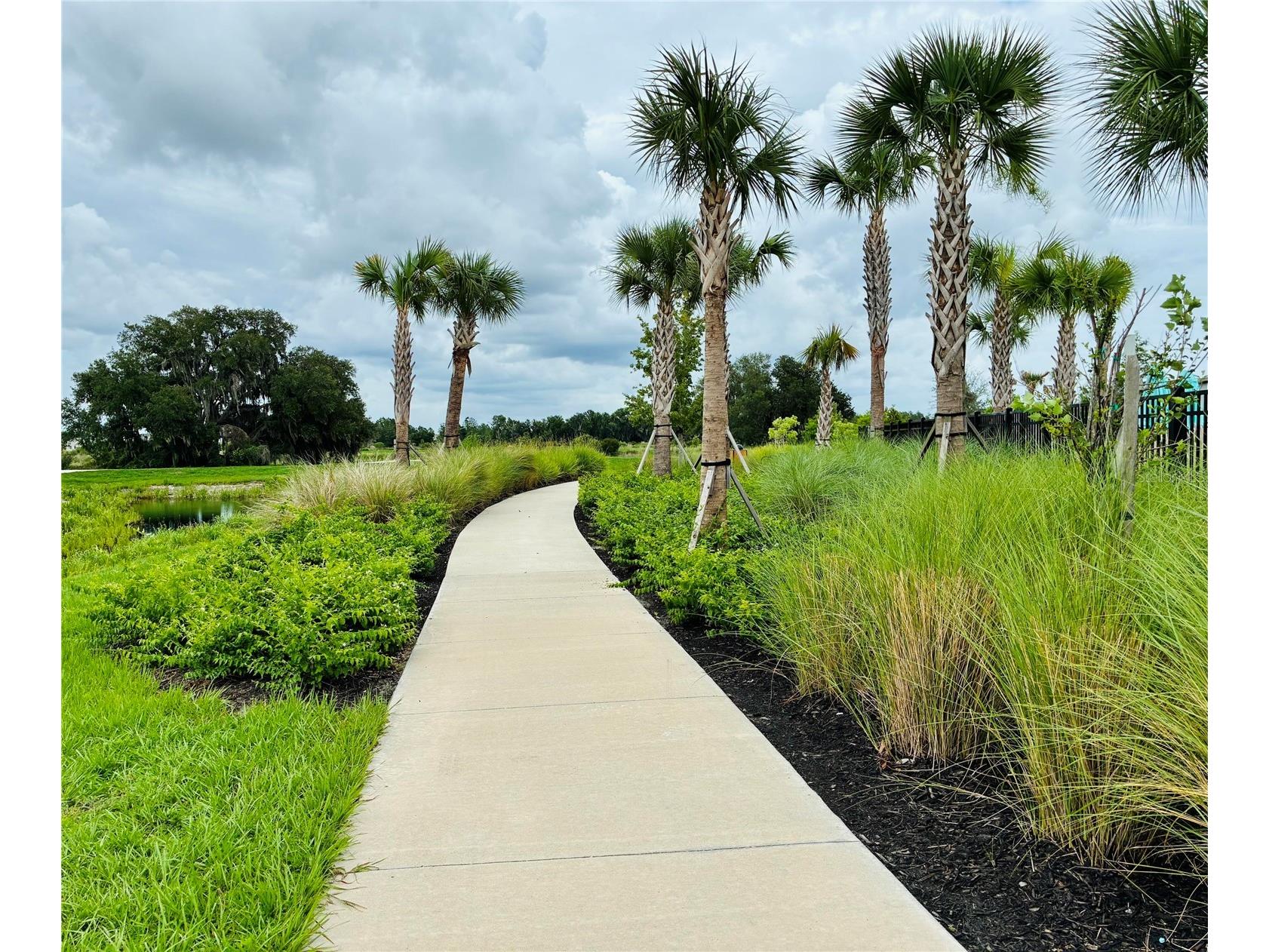 2141 Lanier Road Zephyrhills FL 33541 O6413718 image7