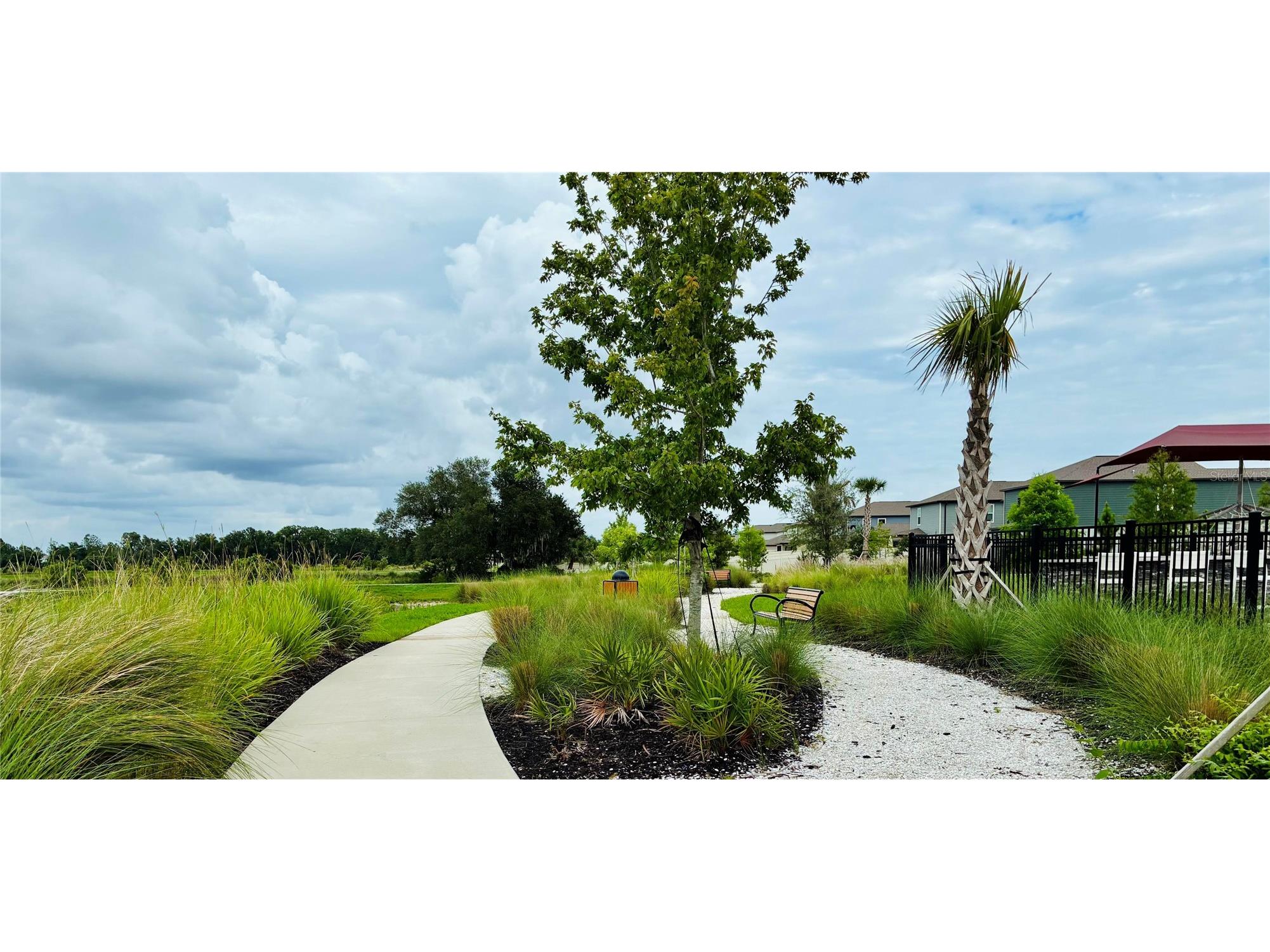 2141 Lanier Road Zephyrhills FL 33541 O6413718 image8