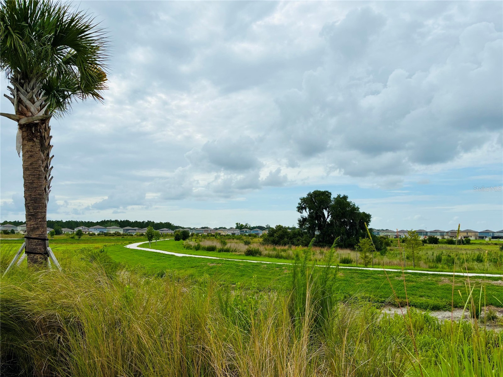 2141 Lanier Road Zephyrhills FL 33541 O6413718 image9