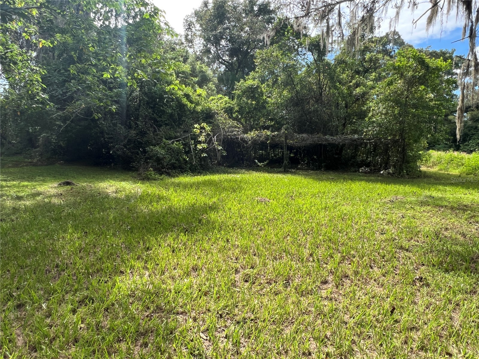 2141 NE 14th Street Ocala FL 34470 OM709039 image25