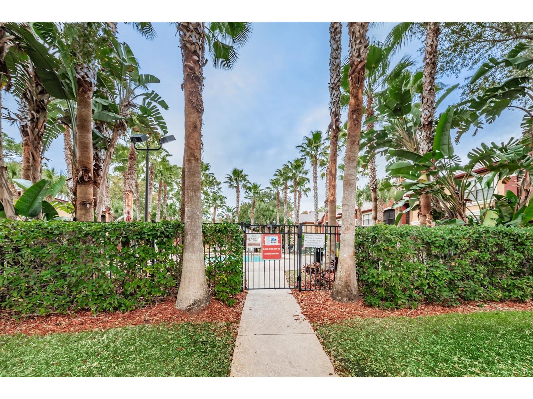 2141 Portofino Place #28-2815 Palm Harbor FL 34683 TB8492147 image47