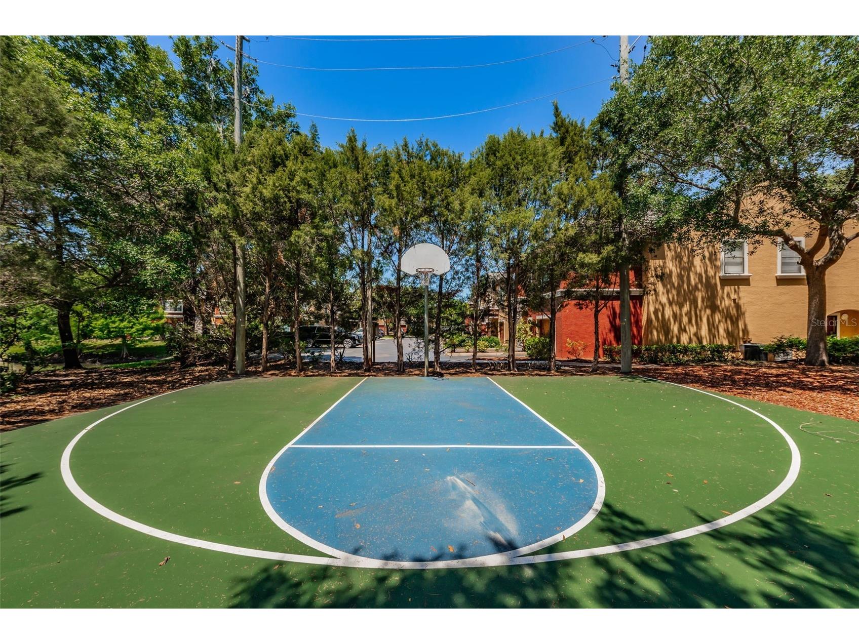 2141 Portofino Place #2816 Palm Harbor FL 34683 TB8496219 image49
