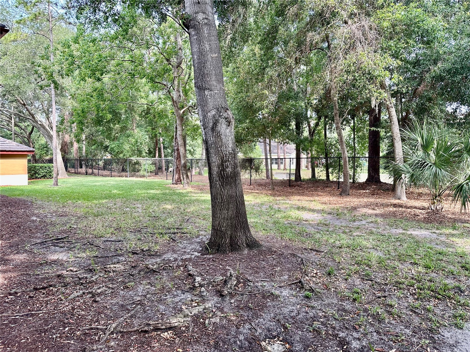 2141 Portofino Place #2827 Palm Harbor FL 34683 W7886032 image26