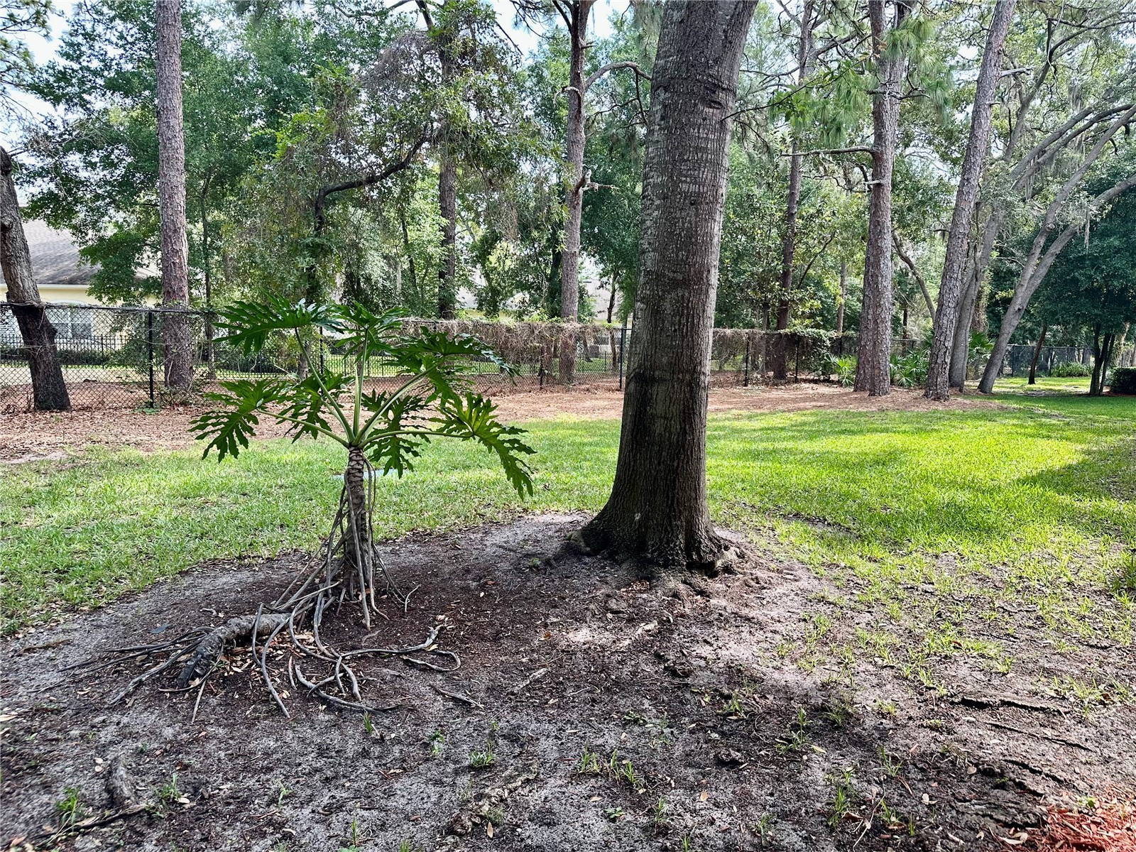 2141 Portofino Place #2827 Palm Harbor FL 34683 W7886032 image27
