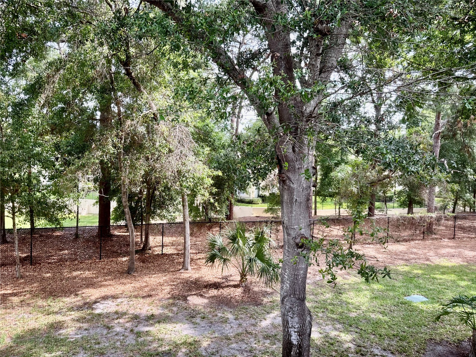 2141 Portofino Place #2827 Palm Harbor FL 34683 W7886032 image28