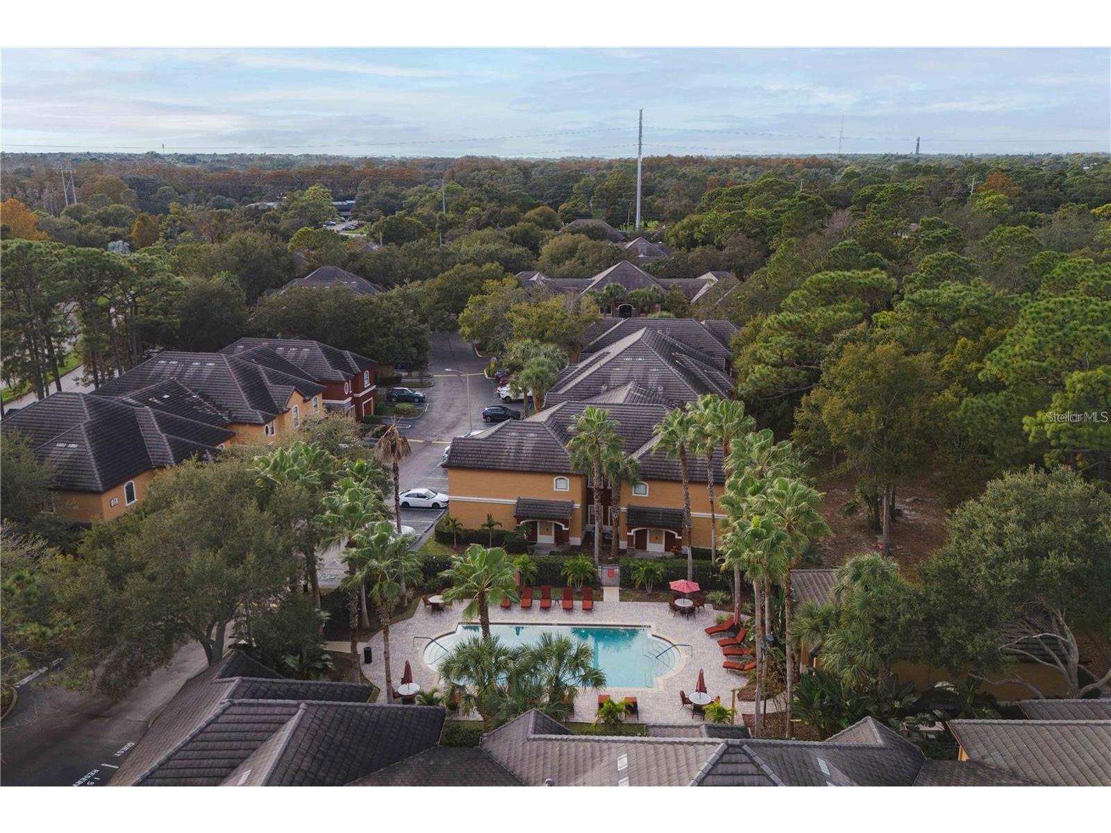 2141 Portofino Place #2827 Palm Harbor FL 34683 W7886032 image33