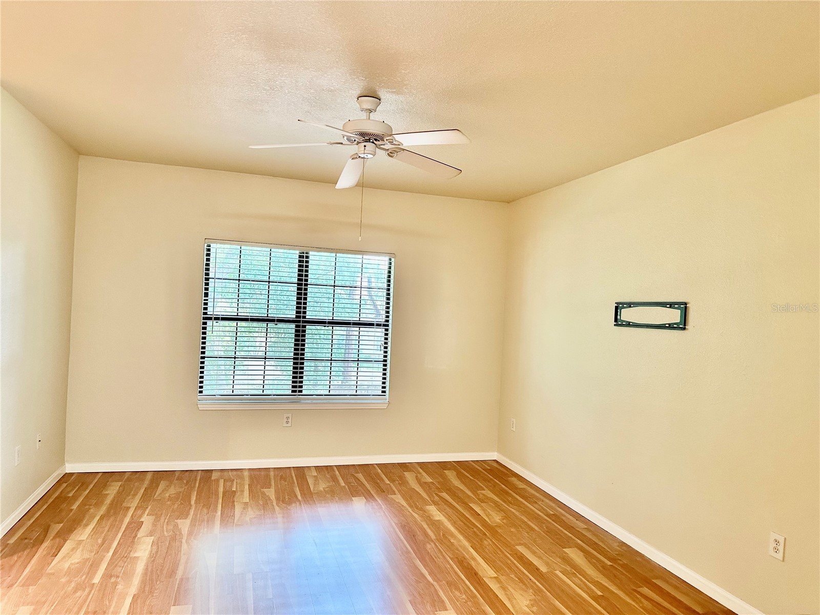 2141 Portofino Place #2827 Palm Harbor FL 34683 W7886032 image7