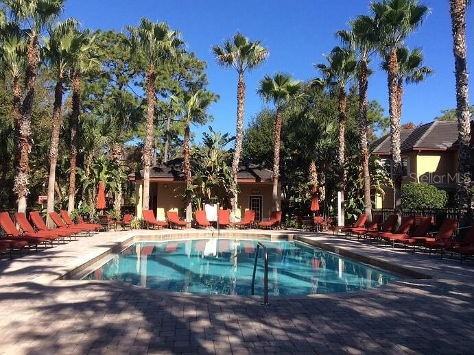 2141 Portofino Place #2826 Palm Harbor FL 34683 TB8492249 image10