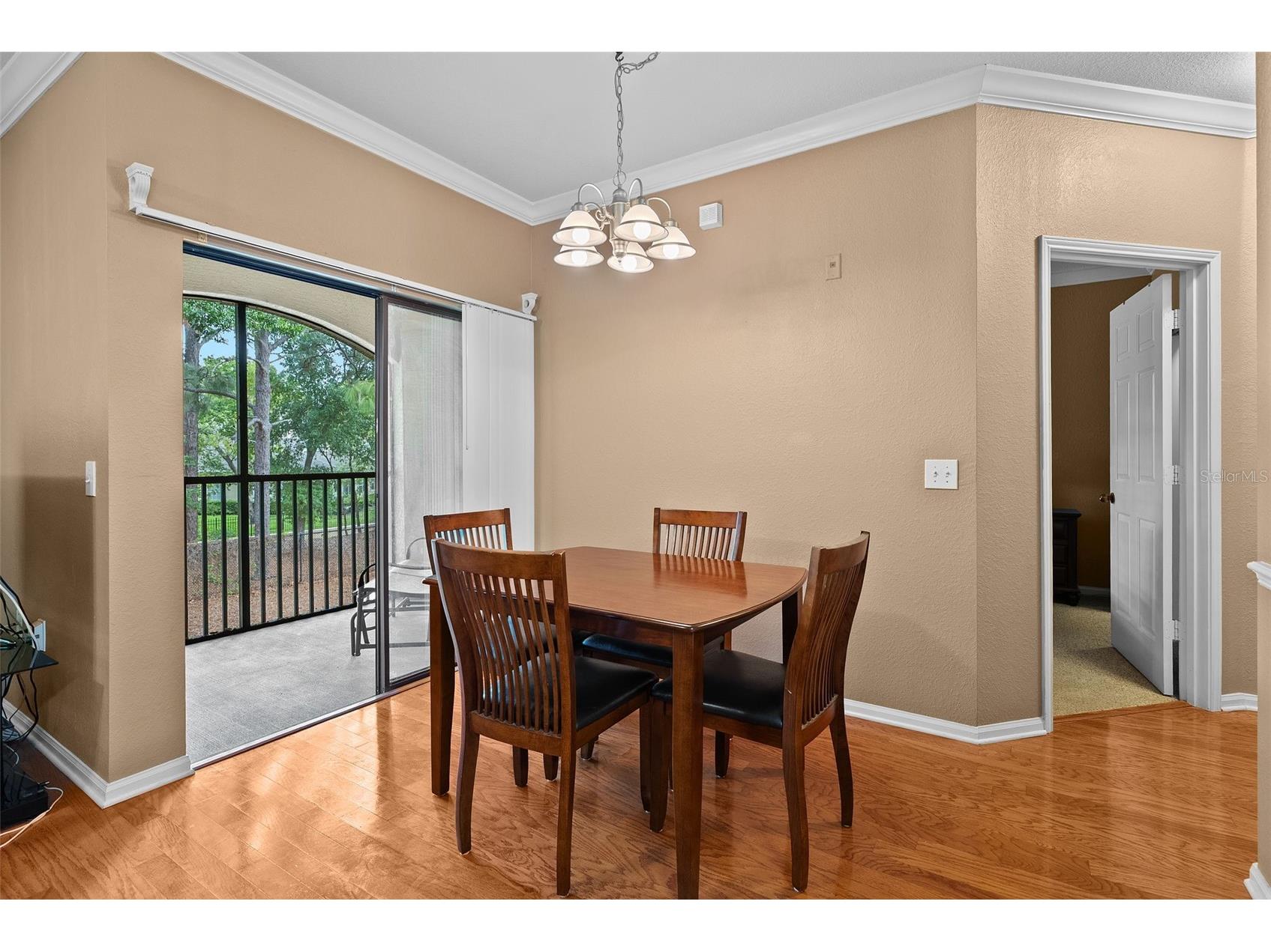 2141 Portofino Place #2826 Palm Harbor FL 34683 TB8492249 image13
