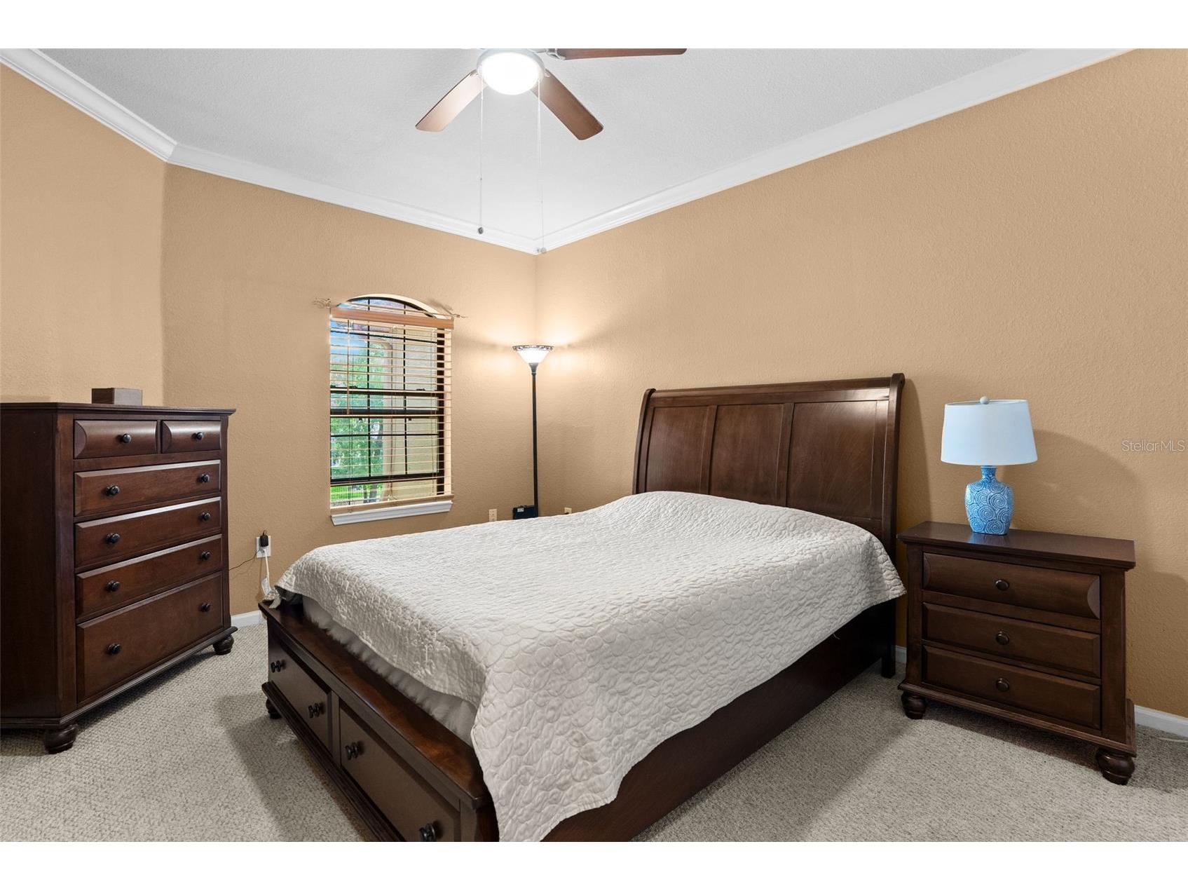 2141 Portofino Place #2826 Palm Harbor FL 34683 TB8492249 image24