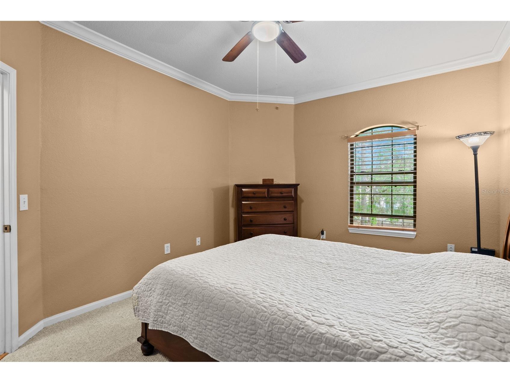 2141 Portofino Place #2826 Palm Harbor FL 34683 TB8492249 image26