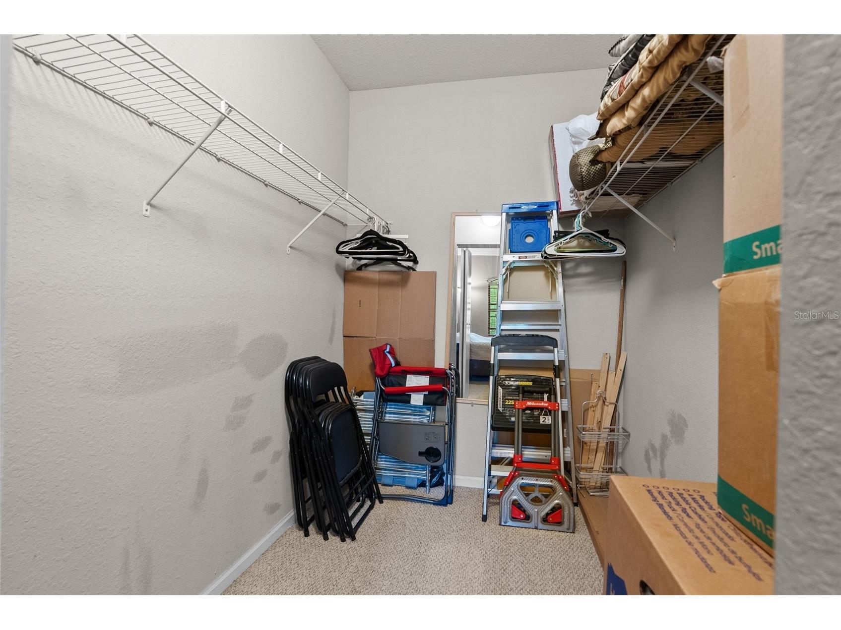 2141 Portofino Place #2826 Palm Harbor FL 34683 TB8492249 image29