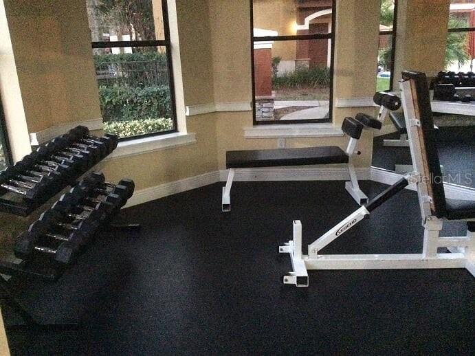 2141 Portofino Place #2826 Palm Harbor FL 34683 TB8492249 image36
