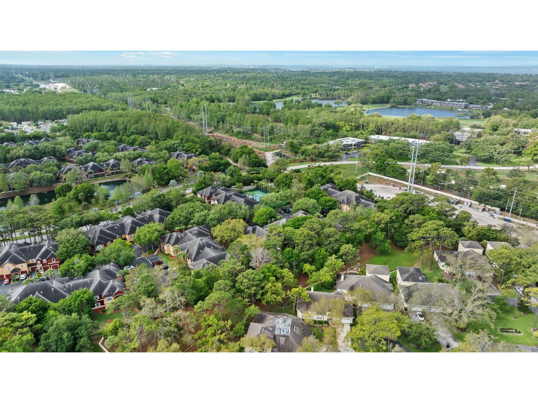 2141 Portofino Place #2826 Palm Harbor FL 34683 TB8492249 image46