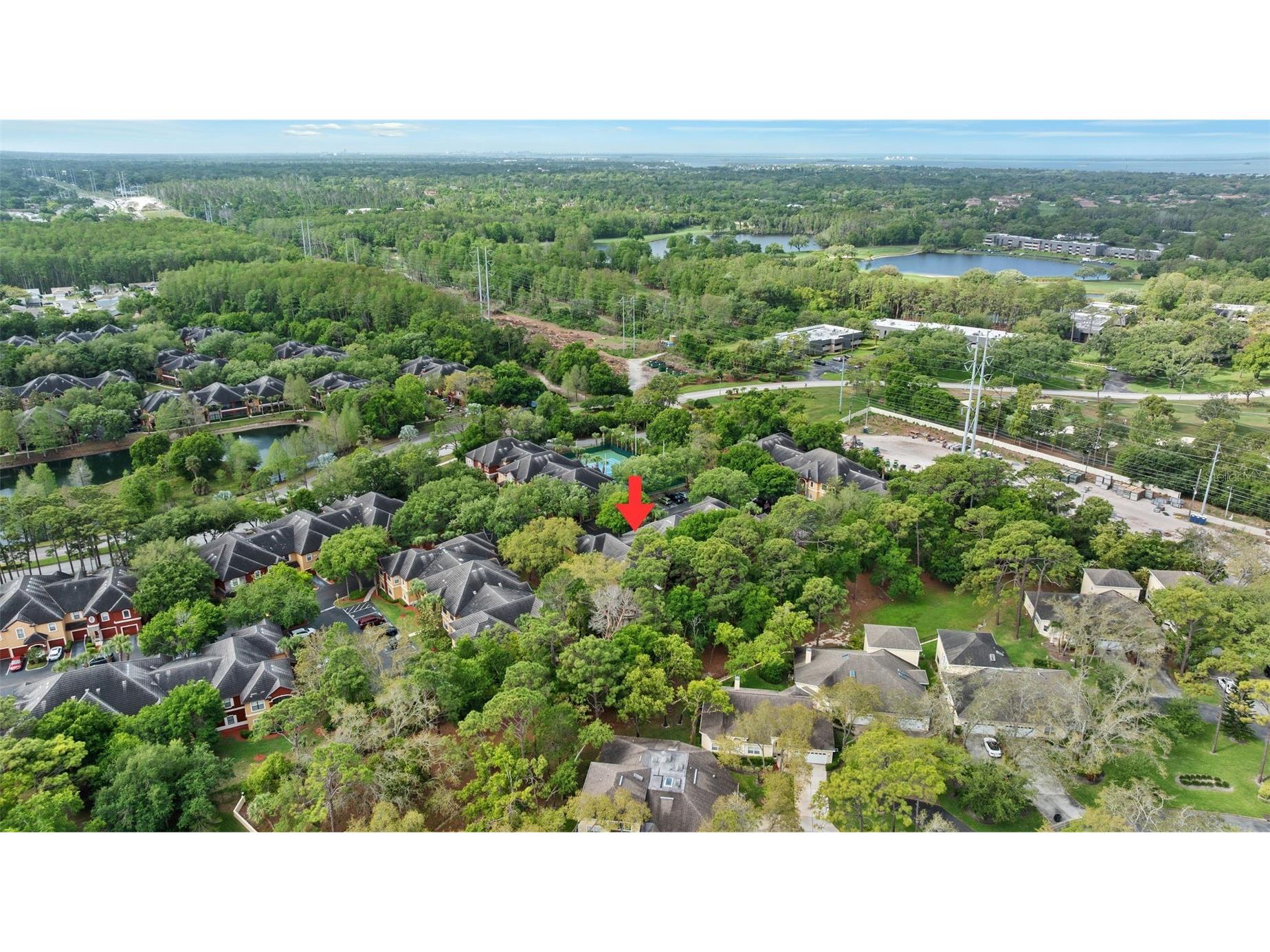 2141 Portofino Place #2826 Palm Harbor FL 34683 TB8492249 image47