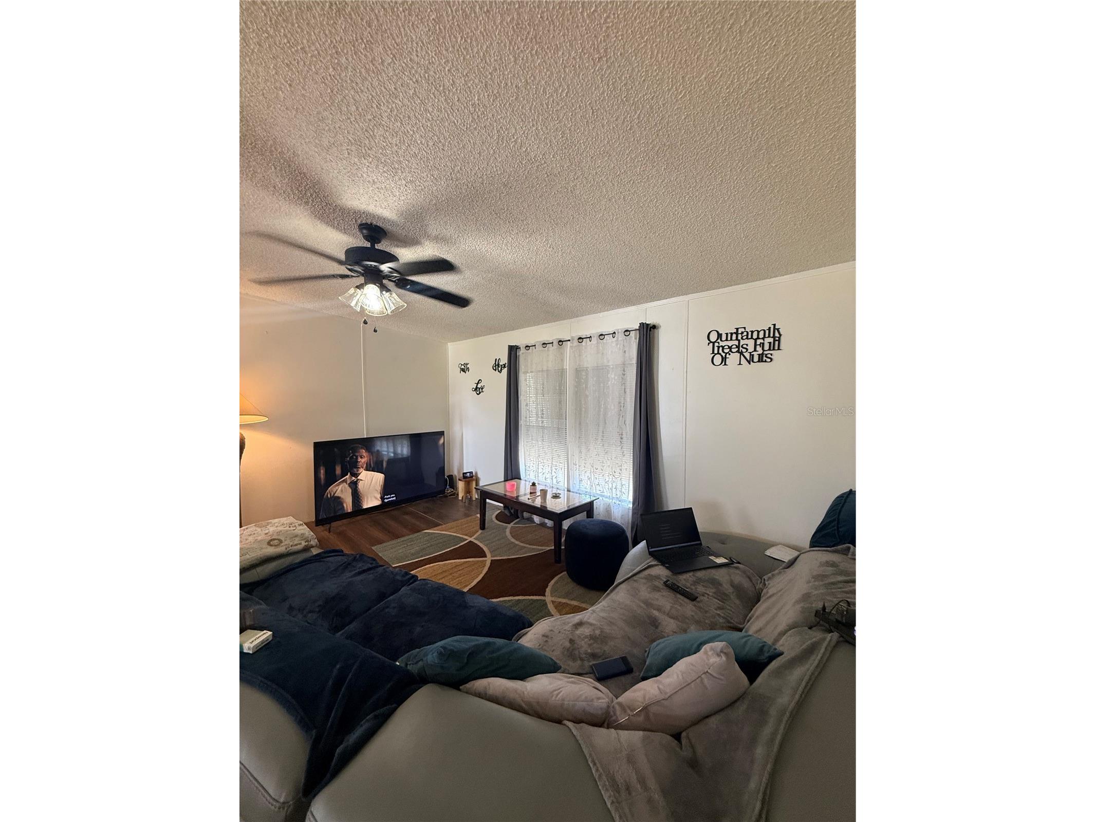 2141 Speck Drive Holiday FL 34691 W7886060 image20