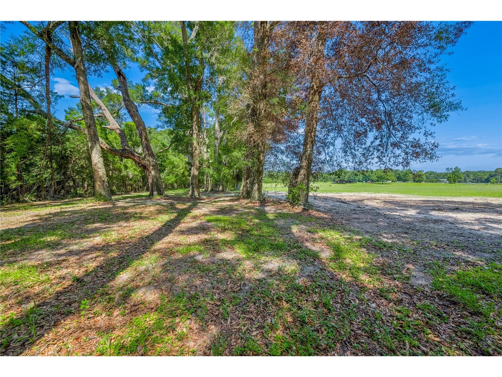 21411 NW 209th Terrace High Springs FL 32643 GC541747 image44