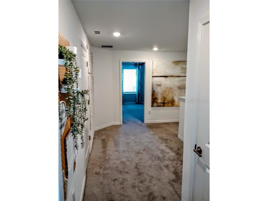 21415 Darter Road Land O Lakes FL 34638 TB8436385 image15