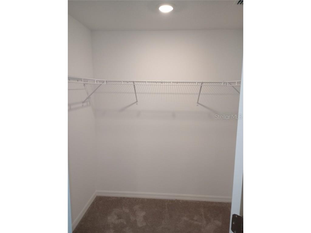 21415 Darter Road Land O Lakes FL 34638 TB8436385 image19