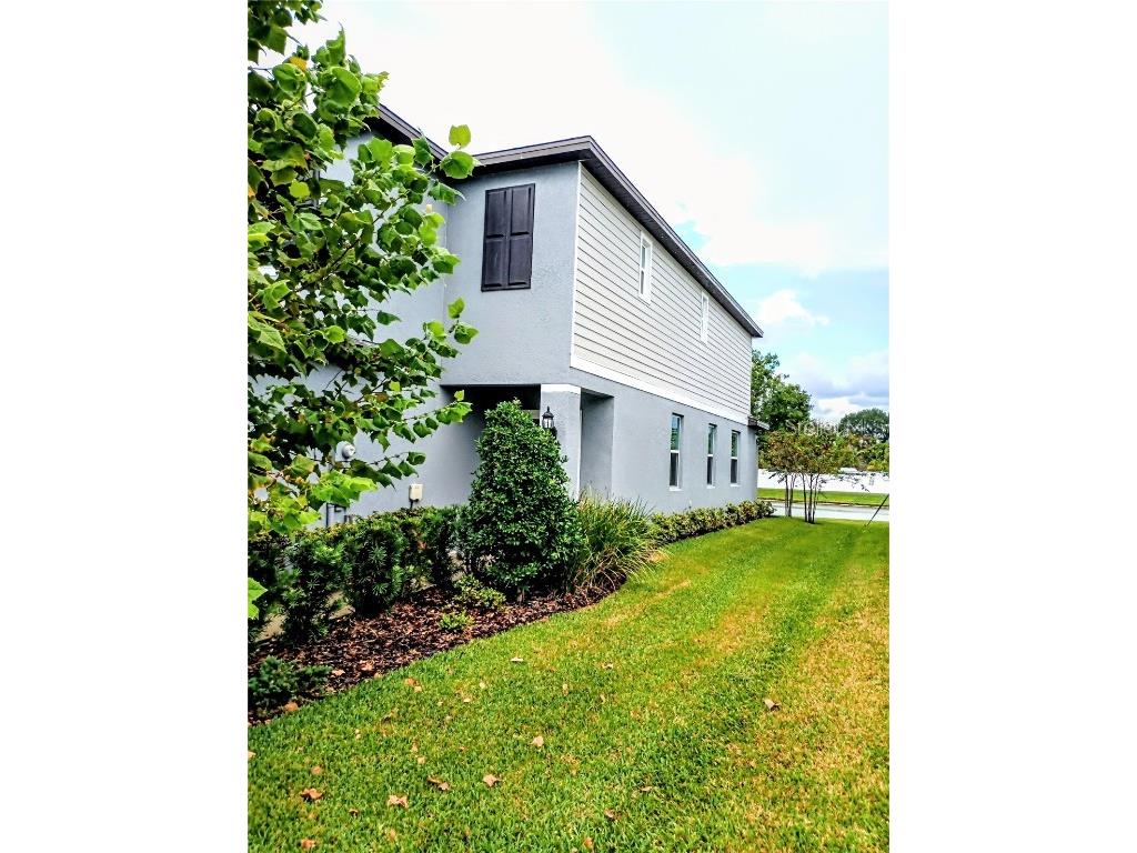 21415 Darter Road Land O Lakes FL 34638 TB8436385 image27