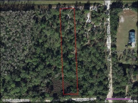 21416 E Colonial Drive Christmas FL 32709 O6012007 image1