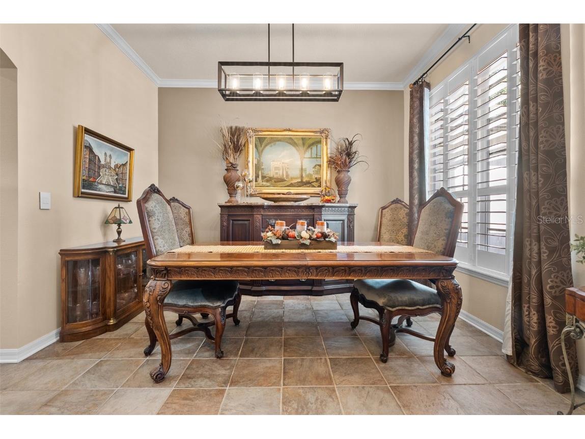 21417 Cypress Tree Court Land O Lakes FL 34637 TB8444377 image11