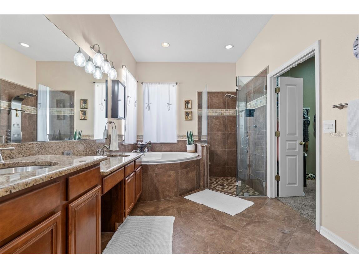 21417 Cypress Tree Court Land O Lakes FL 34637 TB8444377 image24