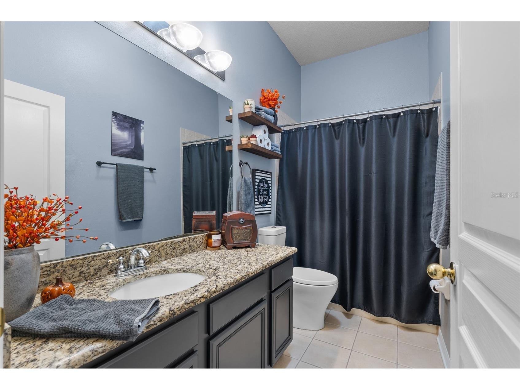 21417 Cypress Tree Court Land O Lakes FL 34637 TB8480070 image30