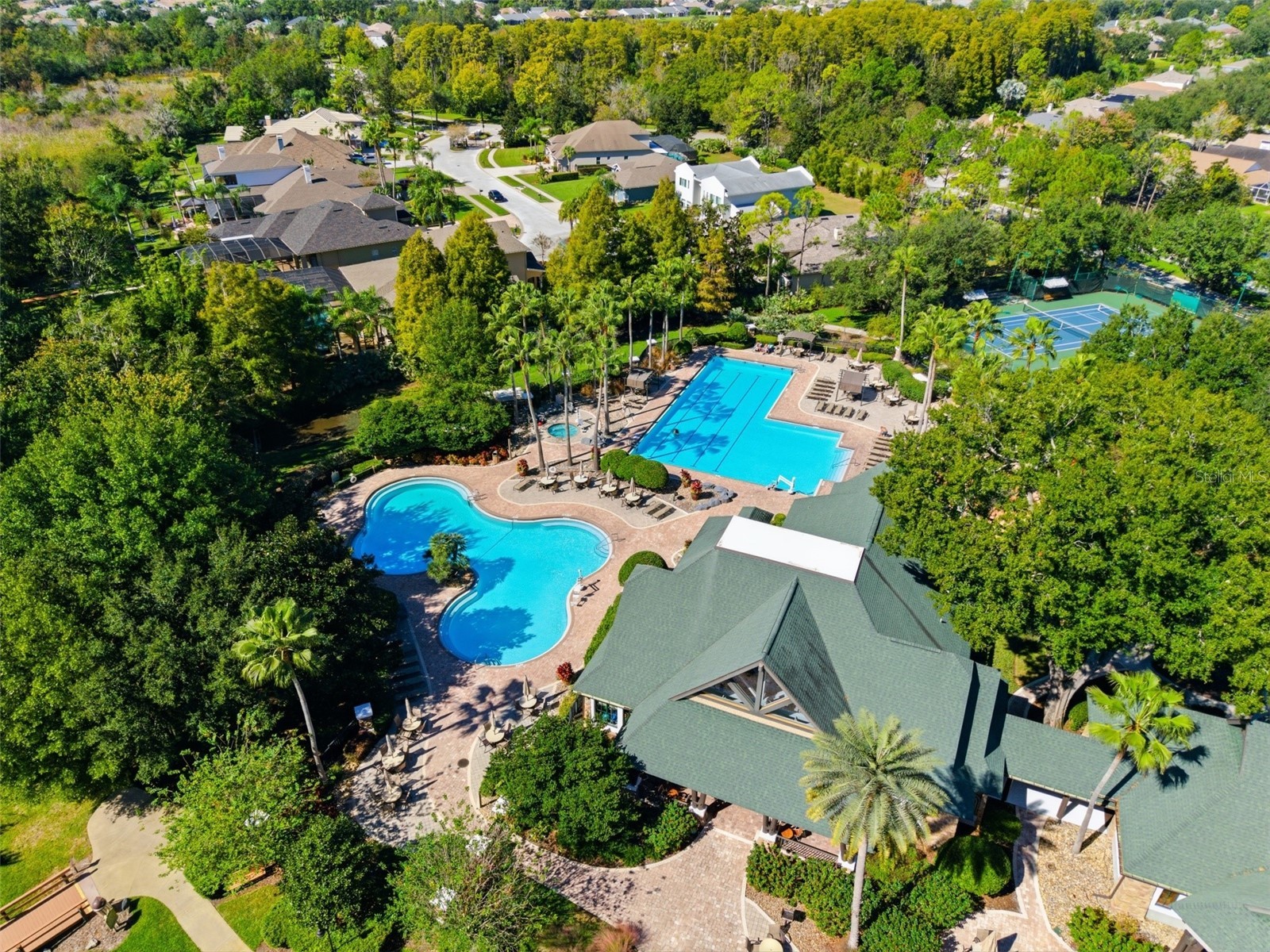 21417 Cypress Tree Court Land O Lakes FL 34637 TB8480070 image48