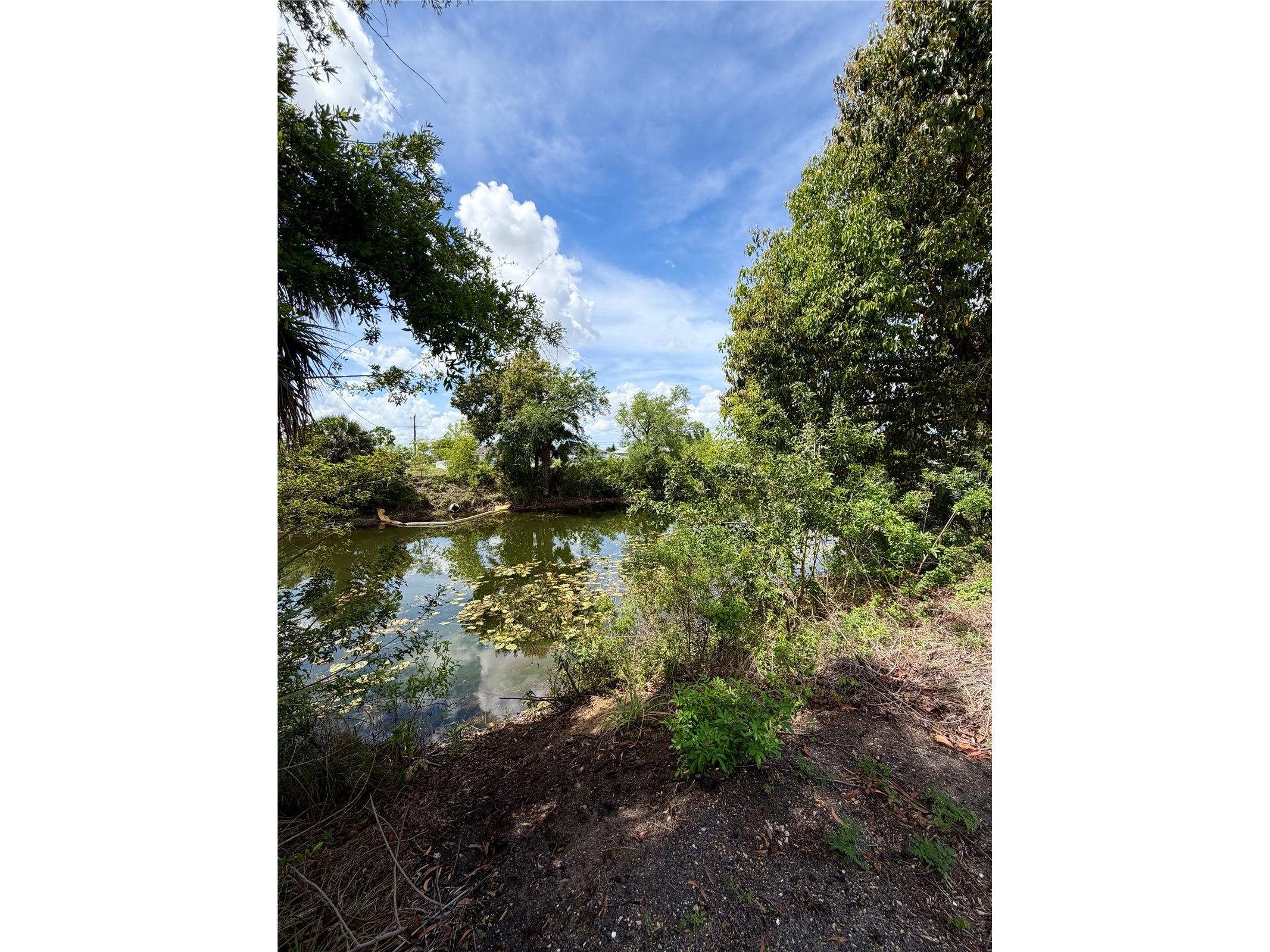 2142 NE 26th Street Cape Coral FL 33909 O6397038 image4
