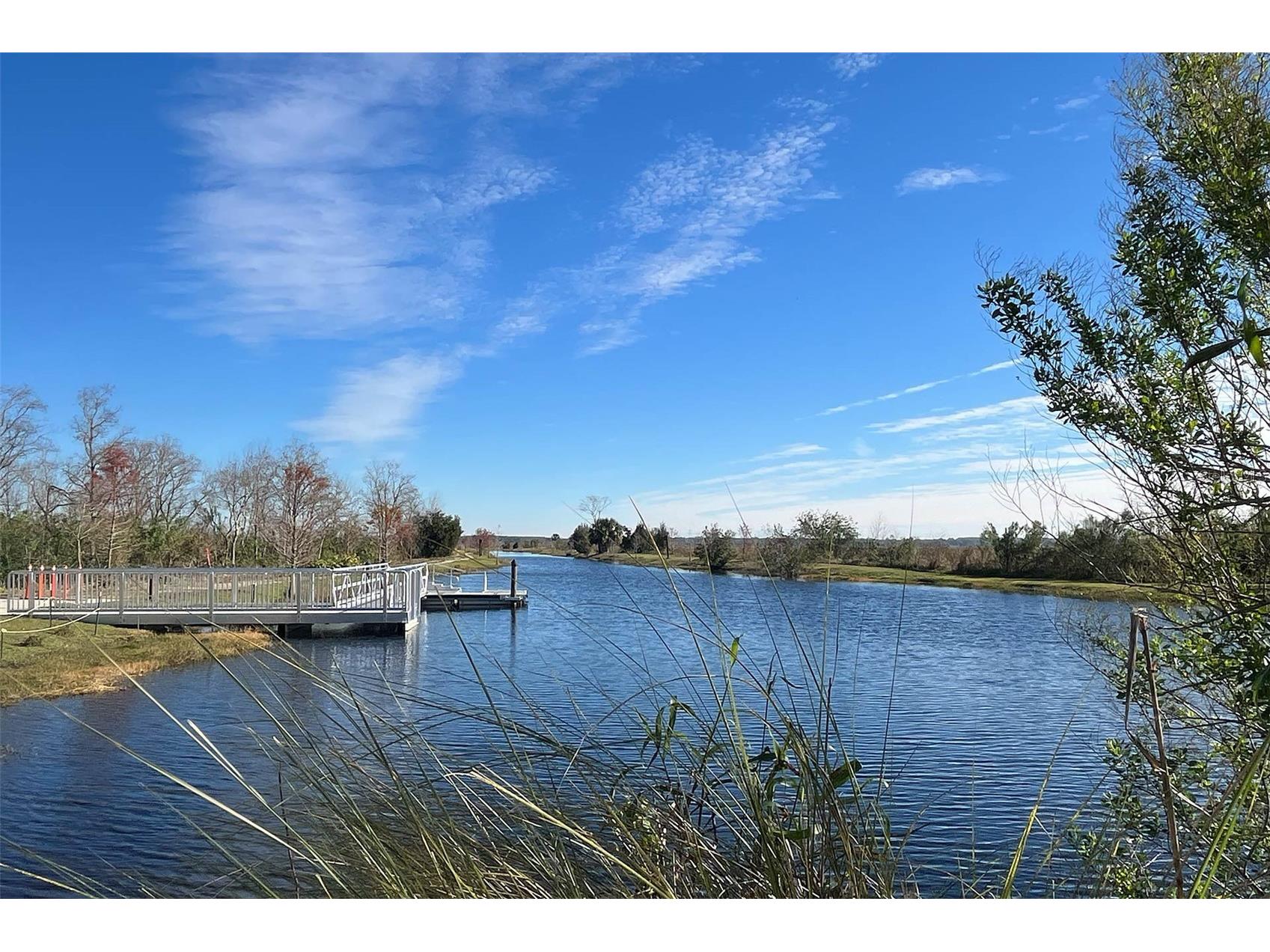 2142 Town Pasture Drive Eustis FL 32726 O6408533 image10