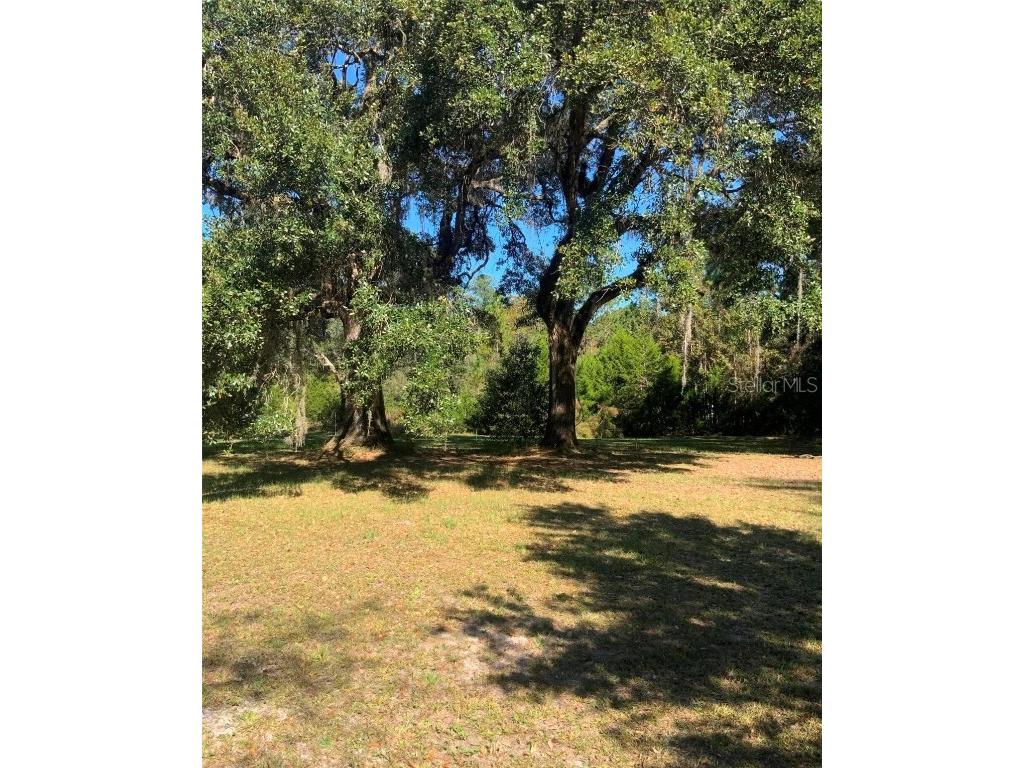 21426 NE 51st Avenue Earleton FL 32631 - Lake Elizabeth A4668679 image13
