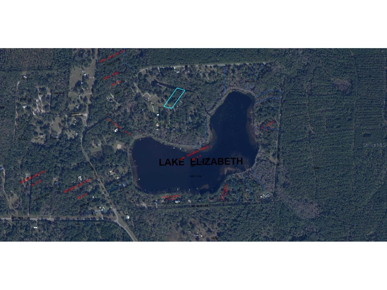 21426 NE 51st Avenue Earleton FL 32631 - Lake Elizabeth A4668679 image2