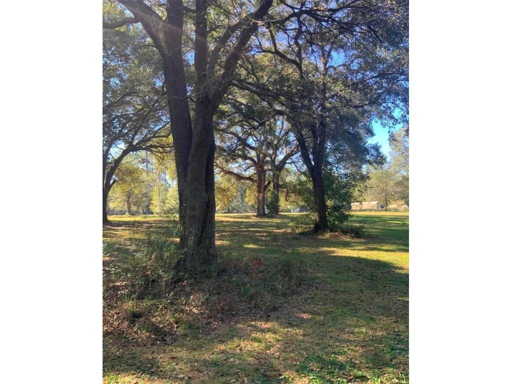 21426 NE 51st Avenue Earleton FL 32631 - Lake Elizabeth A4668679 image20