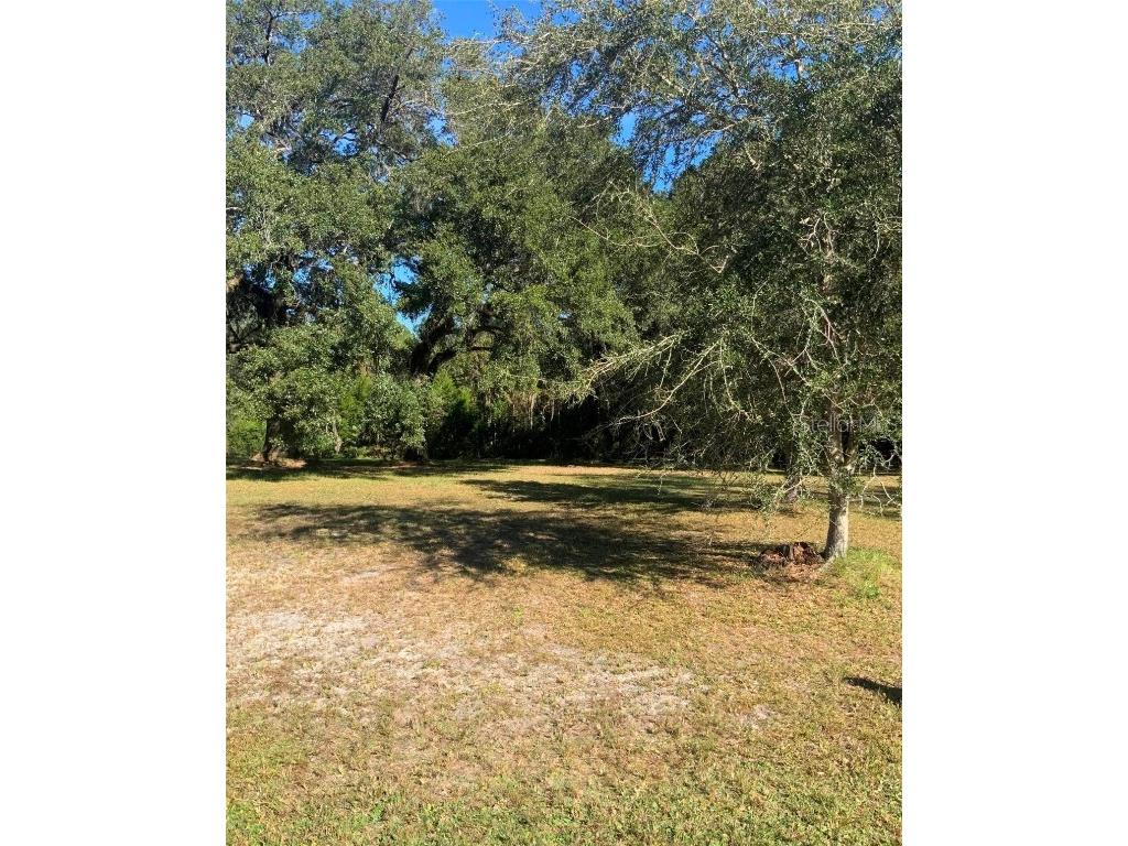 21426 NE 51st Avenue Earleton FL 32631 - Lake Elizabeth A4668679 image21